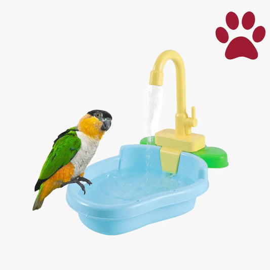 Bird Bath Basin