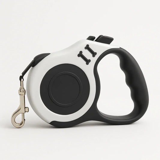 Basic Dog Collar