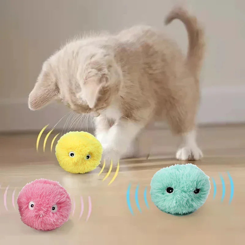 Smart Cat Interactive Ball