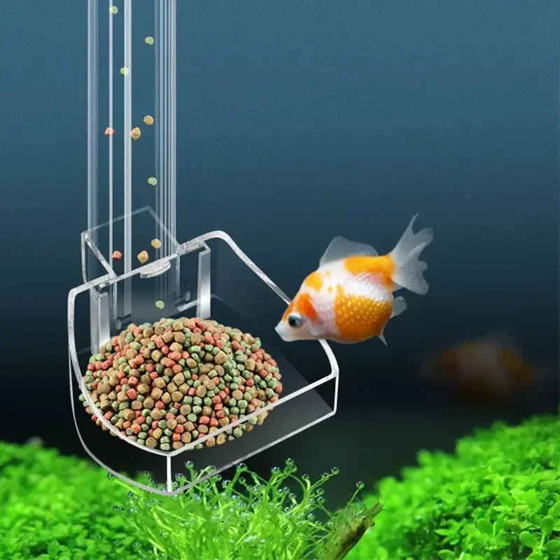Fish Feeding Tube