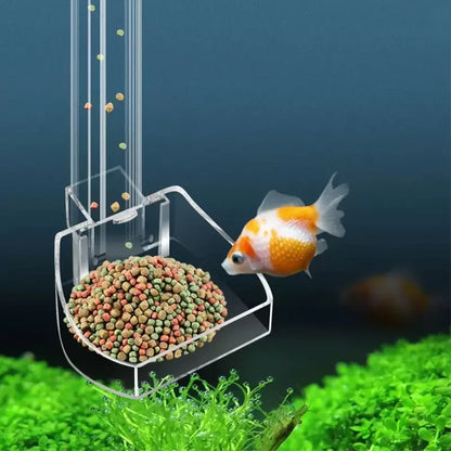 Fish Feeding Tube